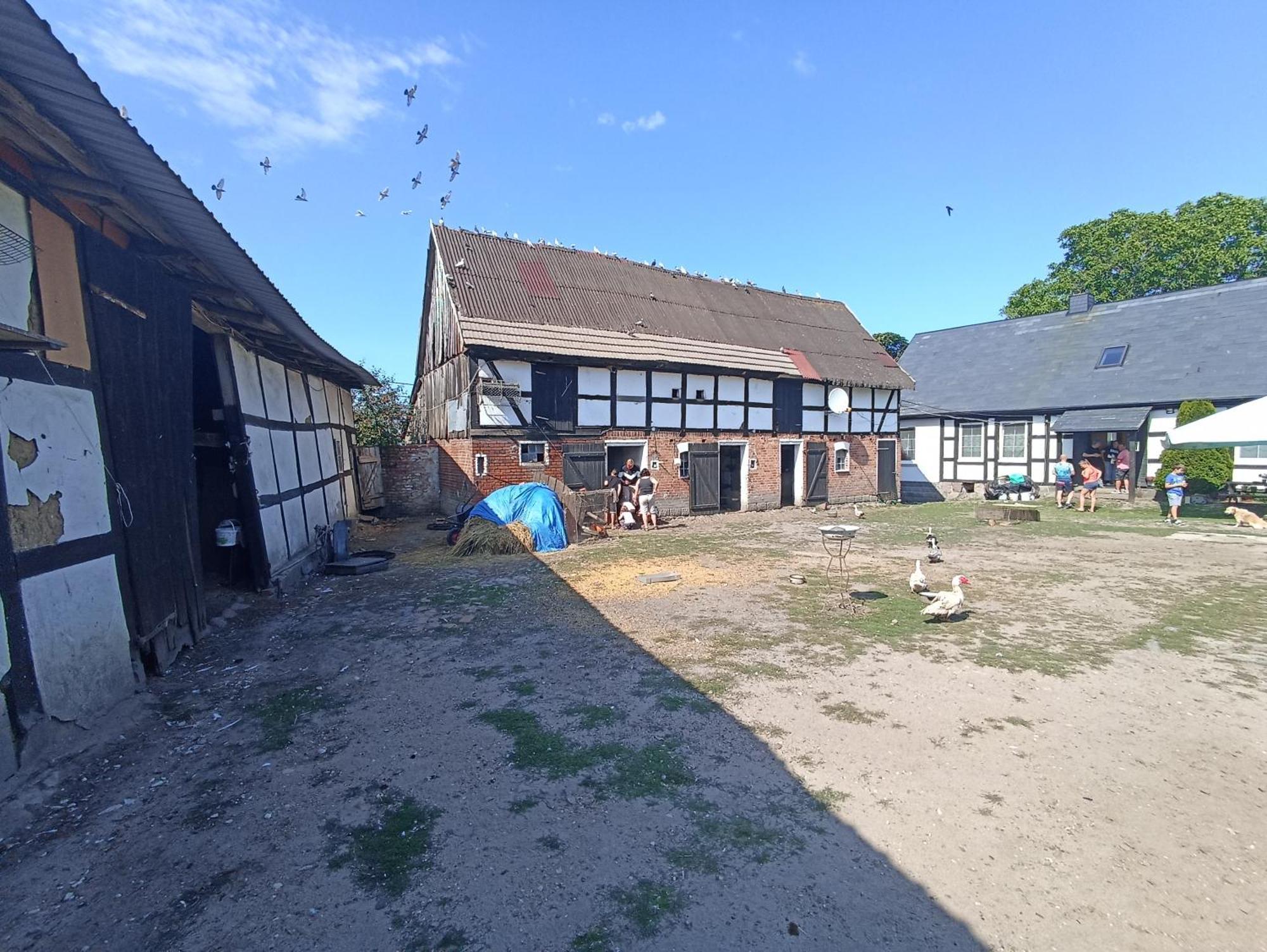 Domki Alfa Kopan Exterior photo